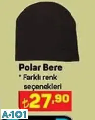 POLAR BERE